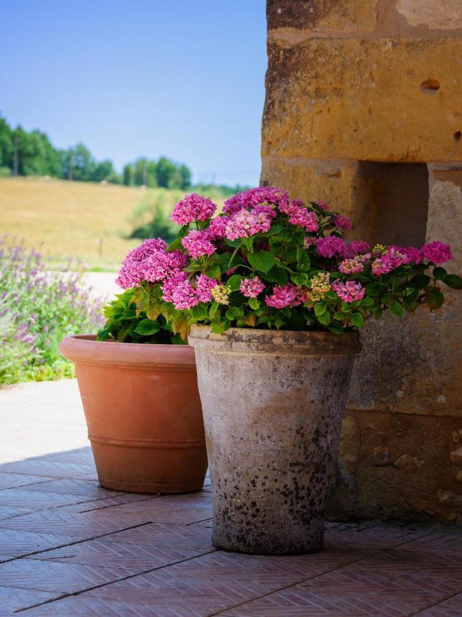 Villa Le Nid de Faucons à Lalinde Extérieur photo